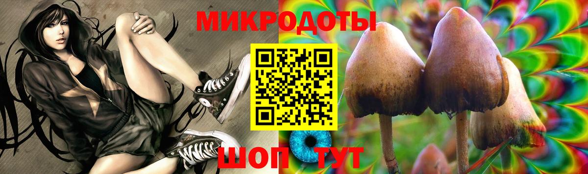 Псилоцибиновые грибы GOLDEN TEACHER  Псилоцибиновые грибы MAGIC MUSHROOMS  Вход с VPN  Обь 